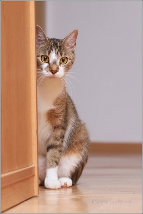 <p>Mia</p>